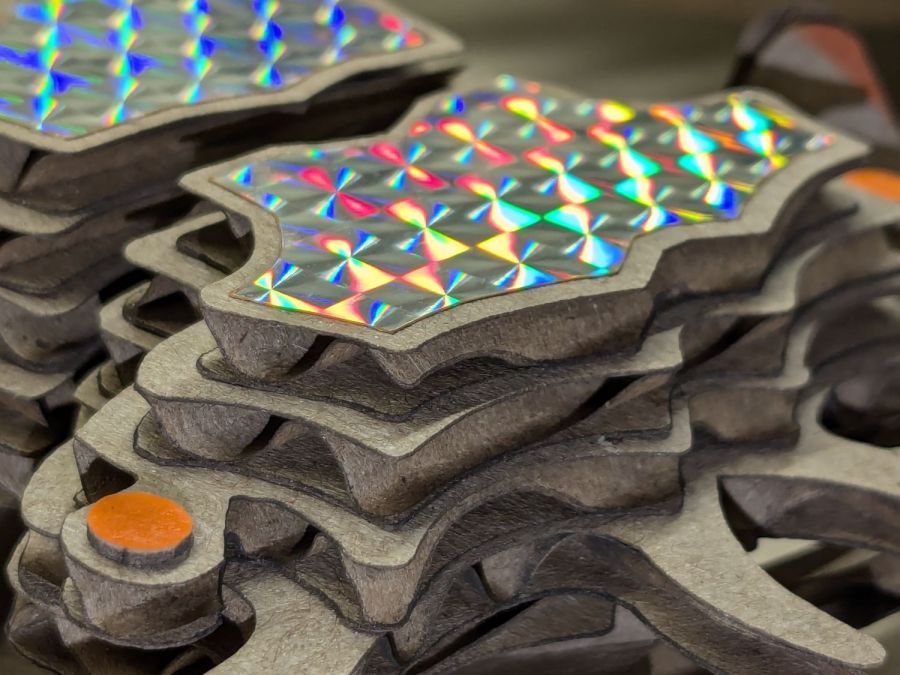 Beetle - 1x cardboard