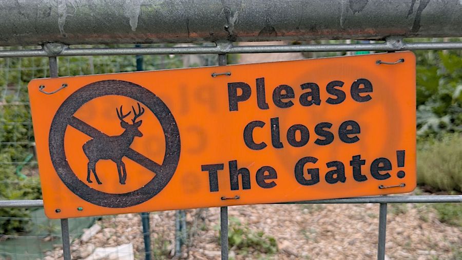 Please Close The Gate - weathered acrylic - 2024-07-20