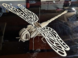 Slotted Insects