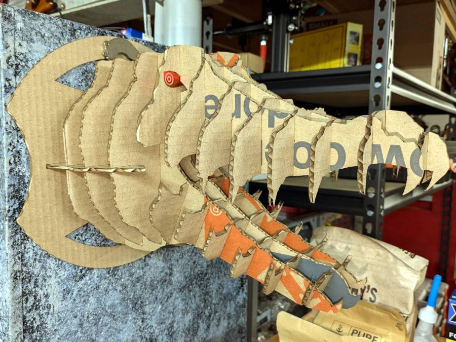 Alligator - right side