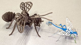 Slotted Bee and Mud Dauber&nbsp;Wasp