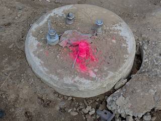 Road Construction: Collateral Damage