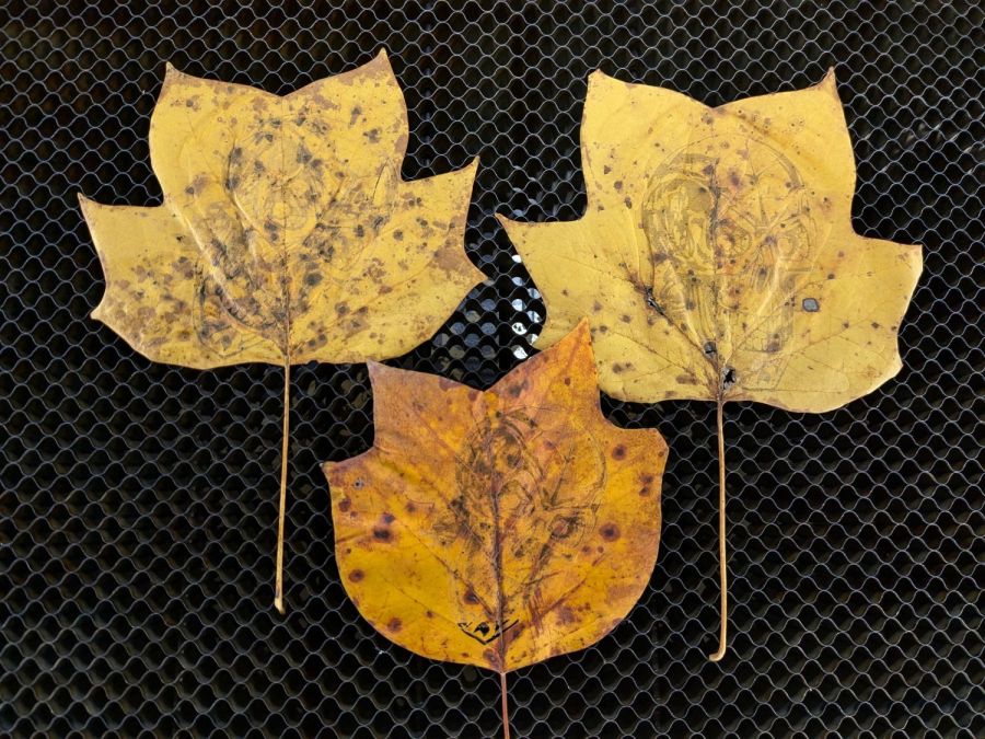 Engraved leaves