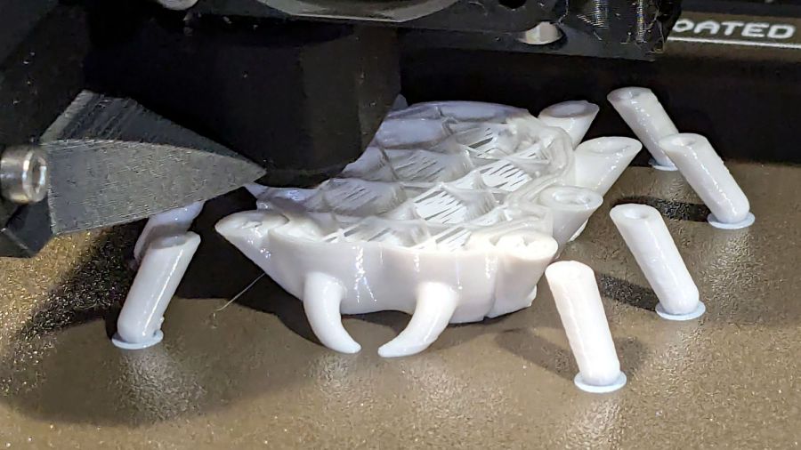 Gizo spider - white leg towers