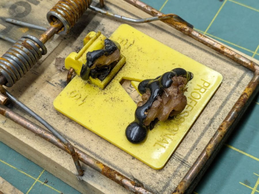 Rat trap - still baited