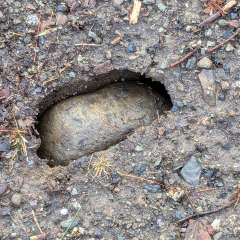 Sinking Rocks