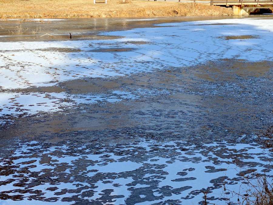 Goose Tracks - Vassar Sunset Lake - B