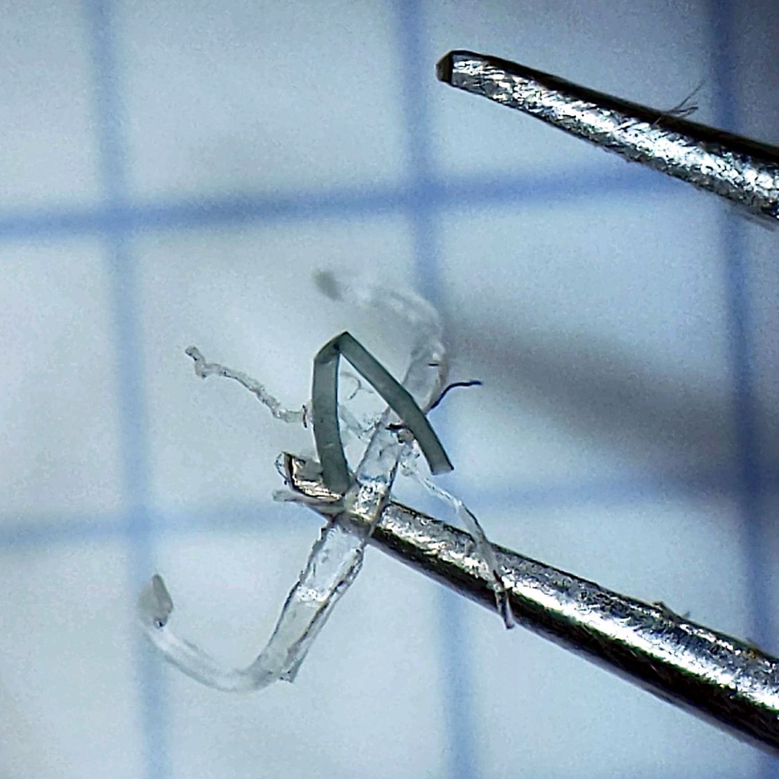 HQ Sixteen - wheel crud - detail