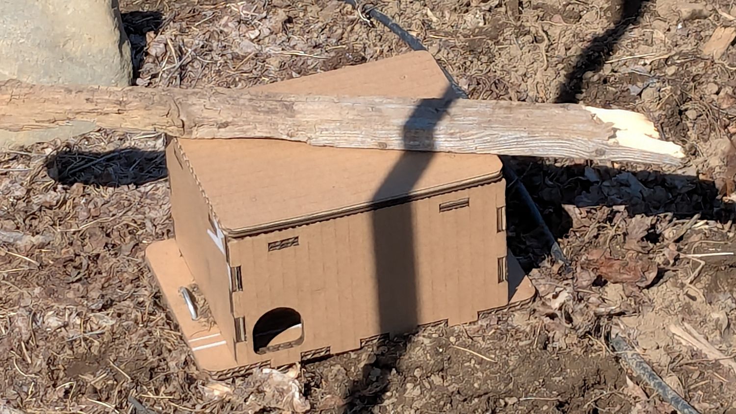 Vole Finger Box - small