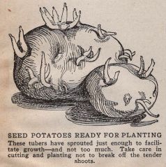 Potato Garage