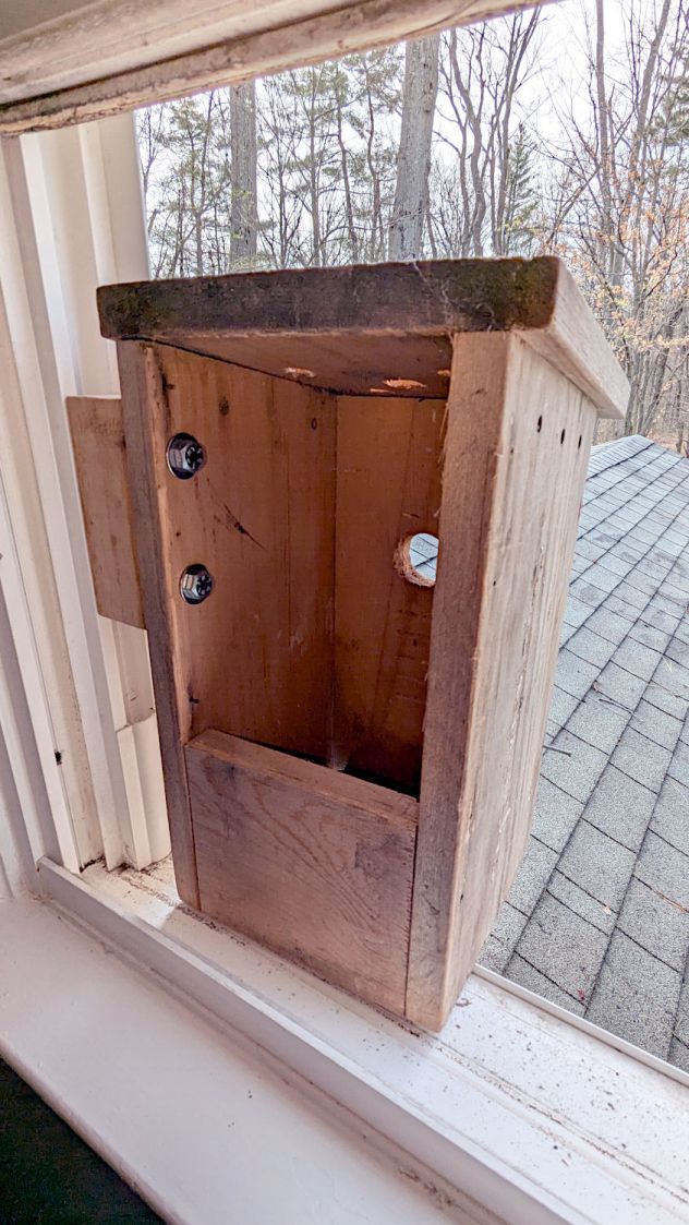 Bird Box window mount - installed