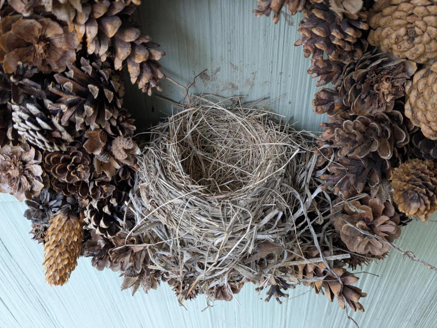 Wreath Robin Nest - 2025-05-02