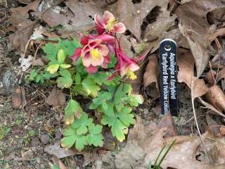 Plant Markers: Trolase CSV&nbsp;Edition