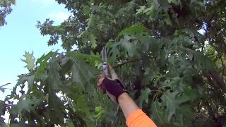 Dutchess Rail Trail: Brush Trimming & Pruner Repair