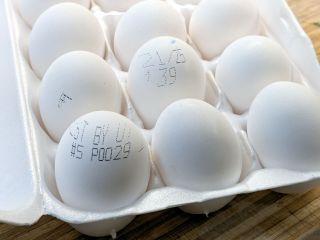 Spraying Along the Egg Line