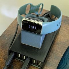 Fitbit VO2Max Estimation