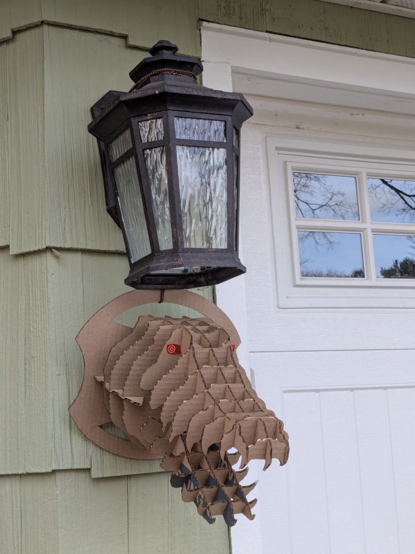 Alligator - installed