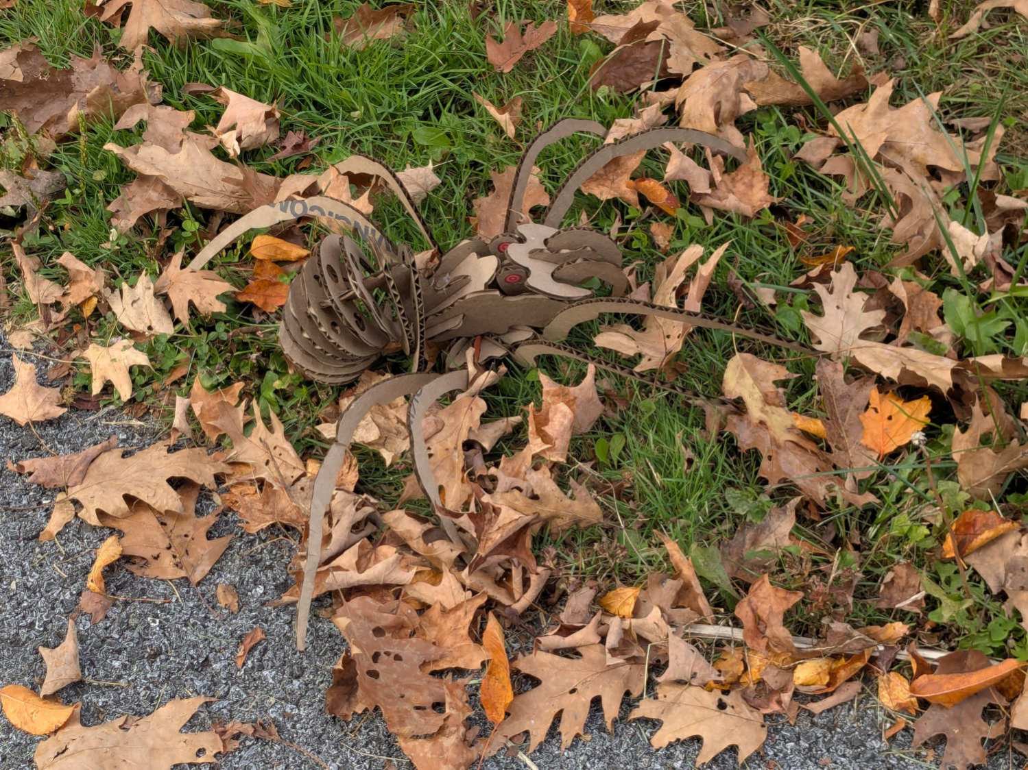 Spider 1 - camouflaged