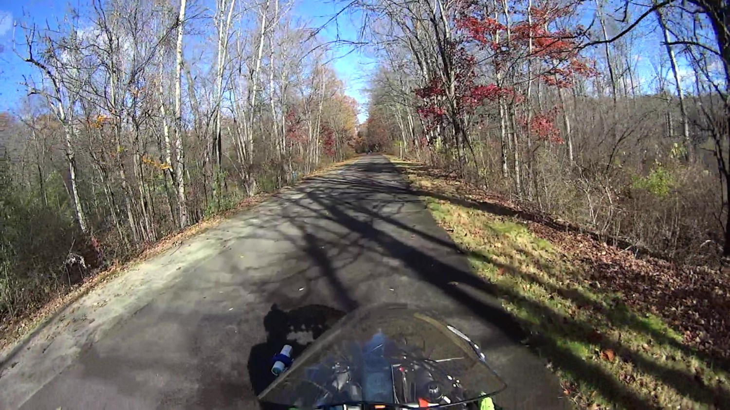 Hawk with snake 2025-11-04 - 112