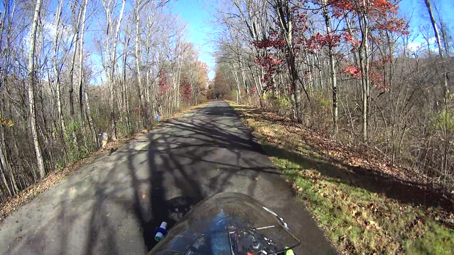 Hawk with snake 2025-11-04 - 151