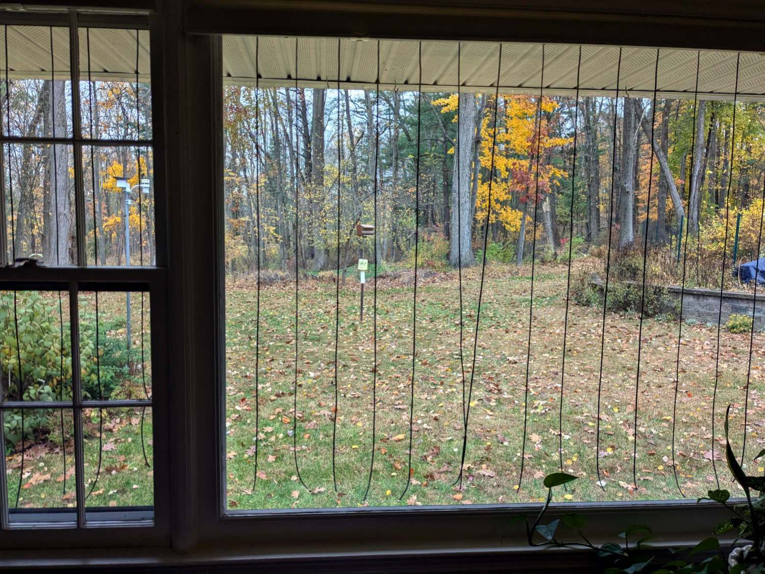 DIY Birdsavers - interior view