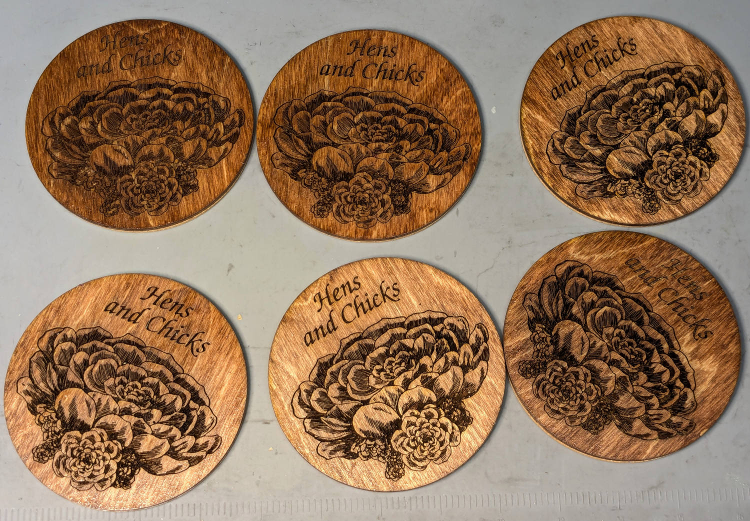 Hens and Chicks Coasters - overview