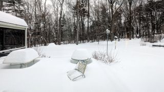 Snow Day