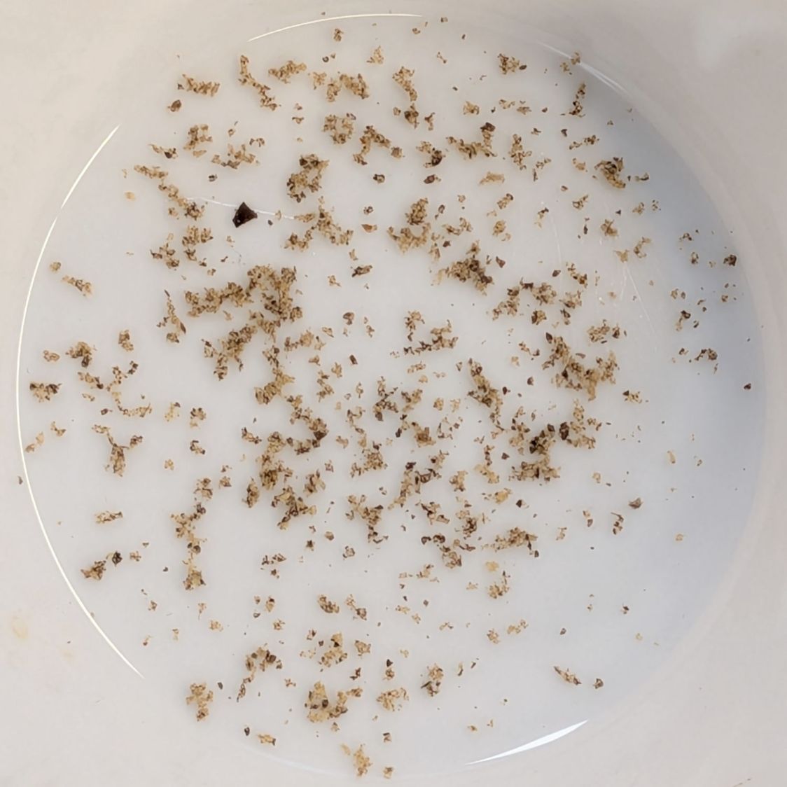 OXO Pepper Mill - finer grind