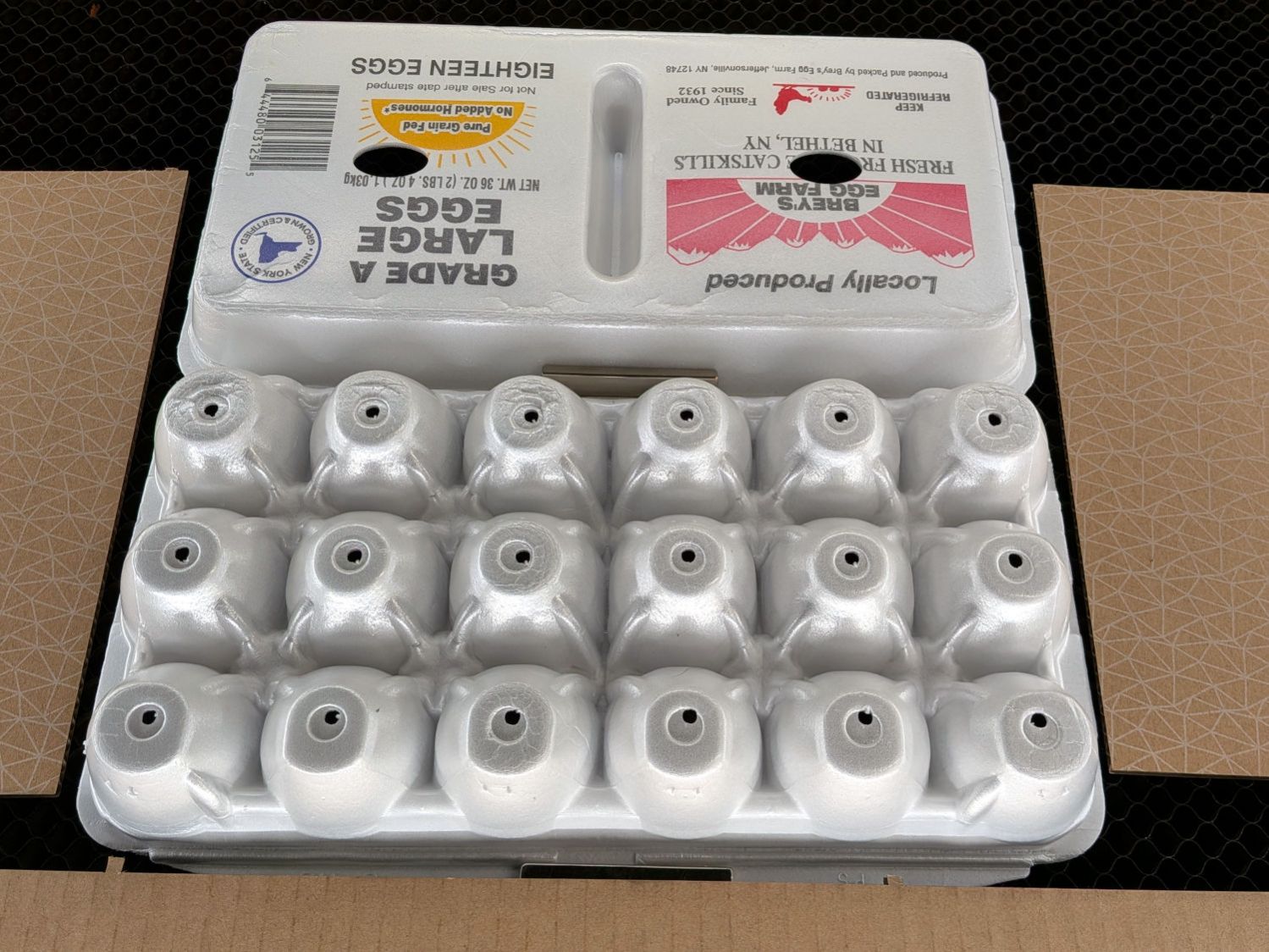 Egg carton sprouter - on platform