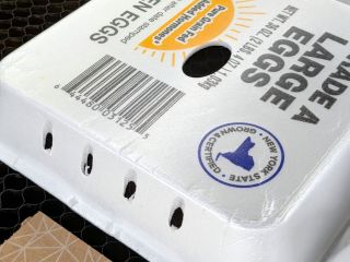 Laser-Cut Egg Carton Sprouter