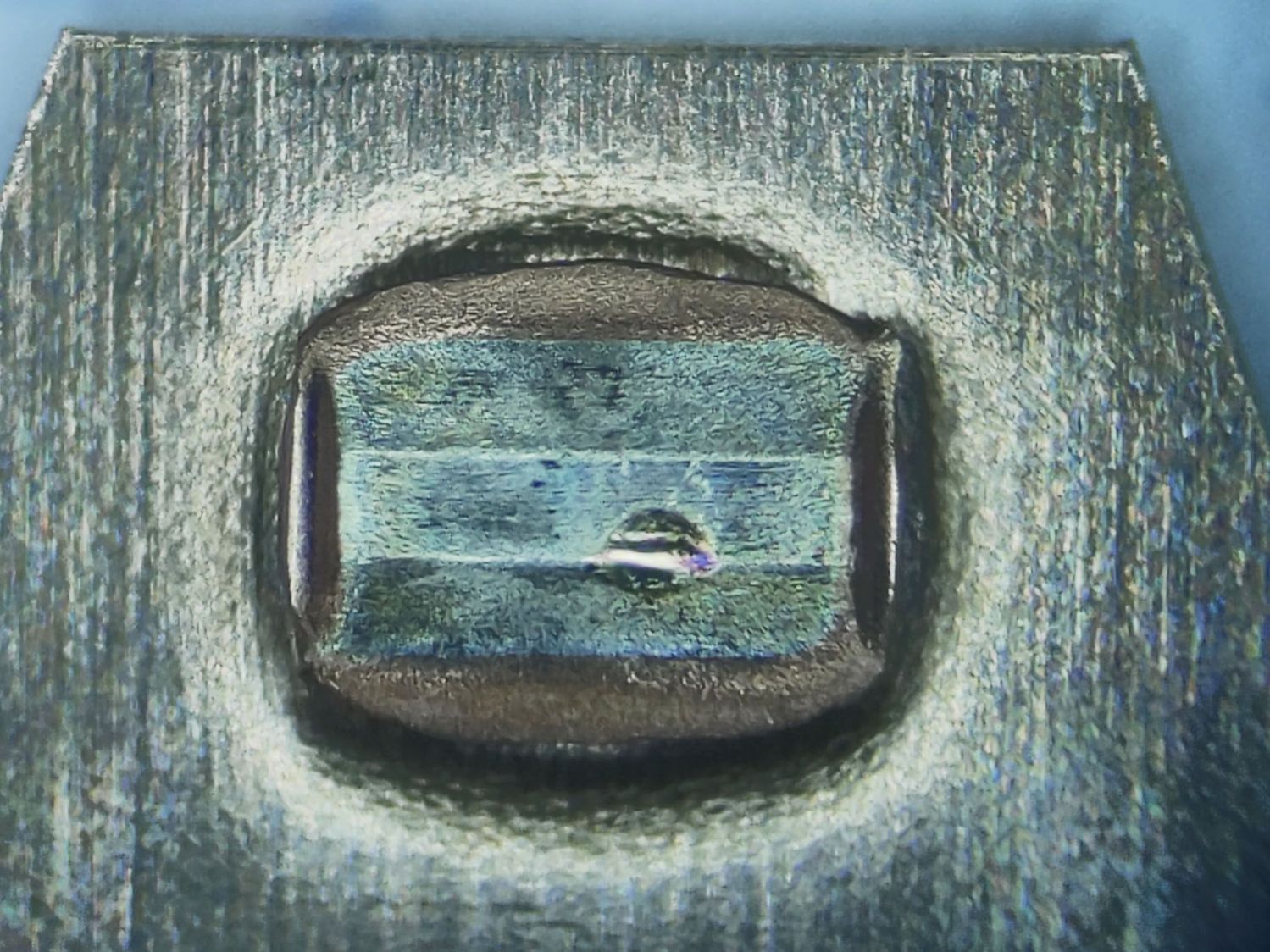 Kensington Expert Mouse Trackball - NC contact 2