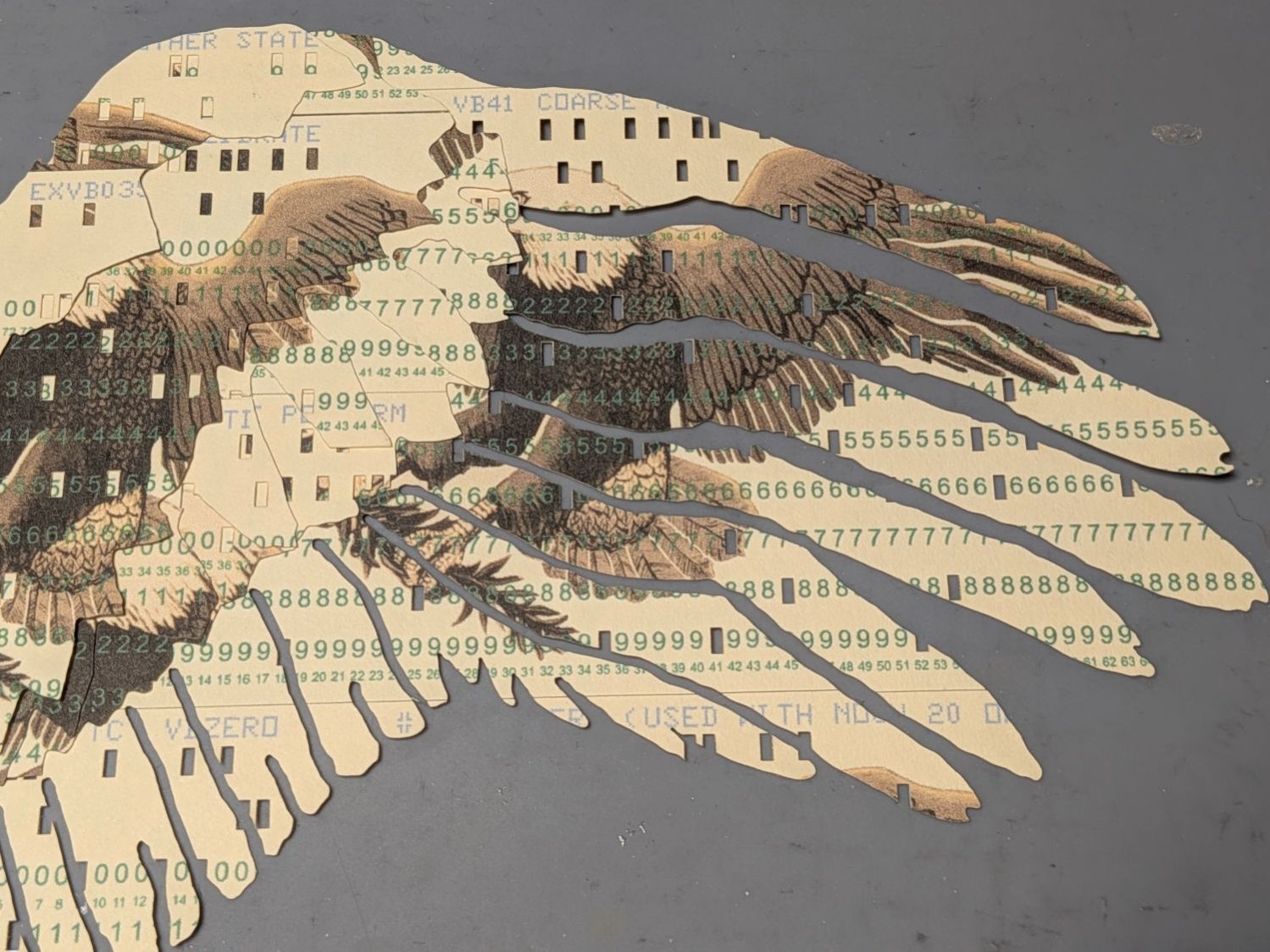 Apollo Eagle - V3 - wing