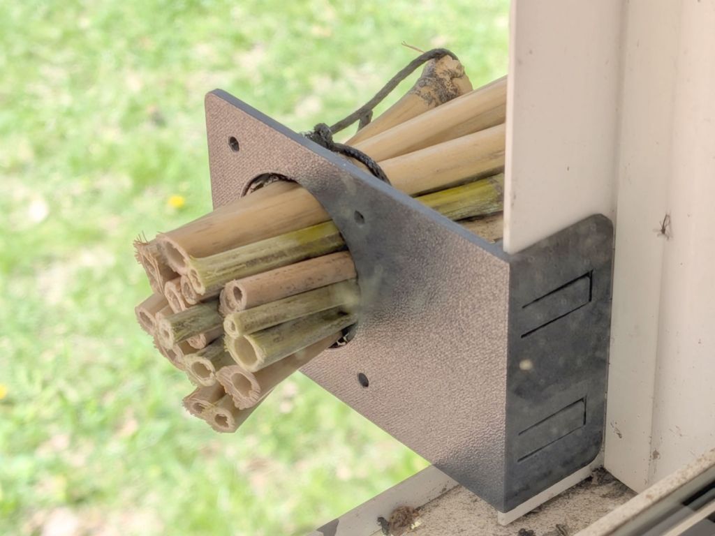 Window Mount for Bamboo Bee Tunnel&nbsp;Nests