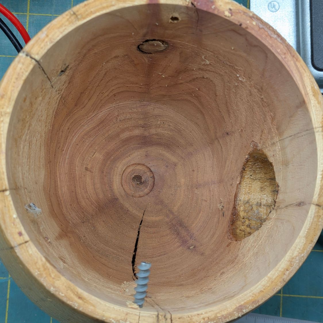 Bird House - interior cleared