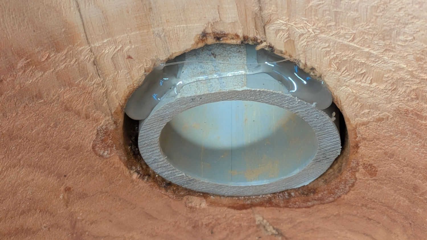 Bird House entrance reducer - interior glue