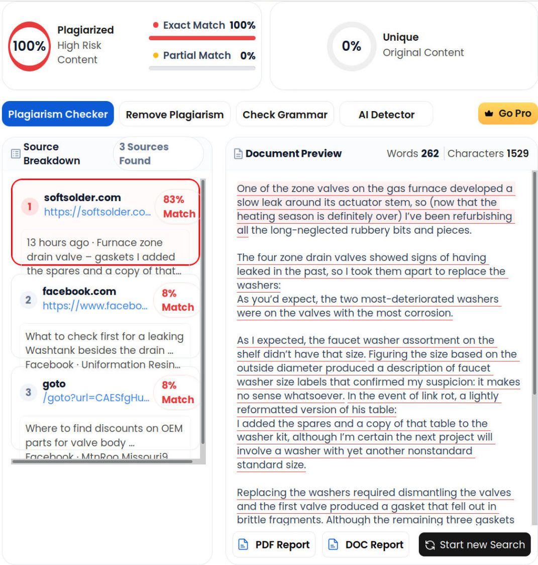 Plagiarism Check