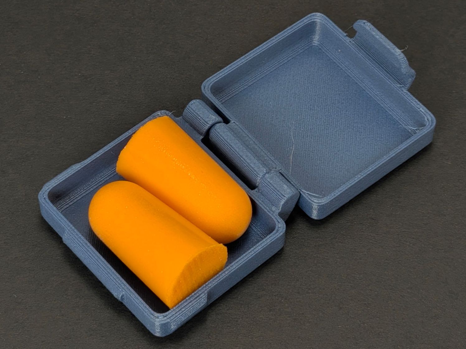Earplug case