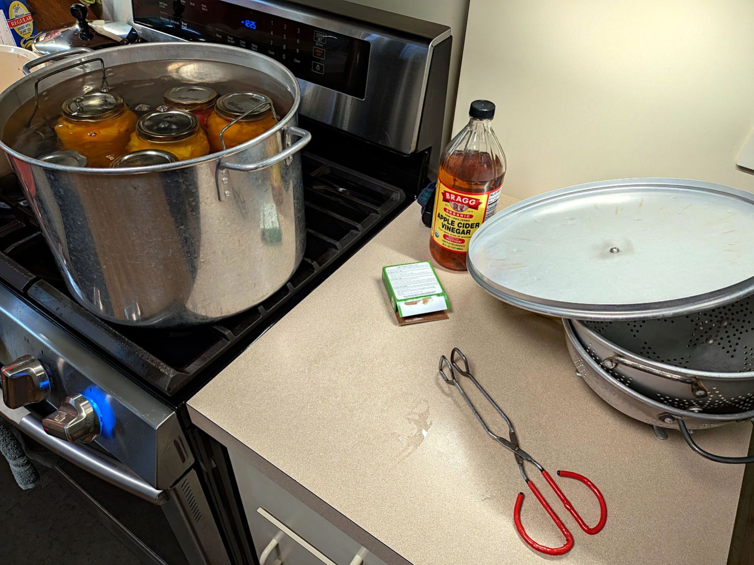 Canning pot lid handle - in use