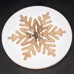 Another Snowflake Coaster Reaches EOL