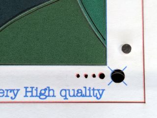 Layered Paper: Cutting and Assembling the Cornell Painted Warblers
